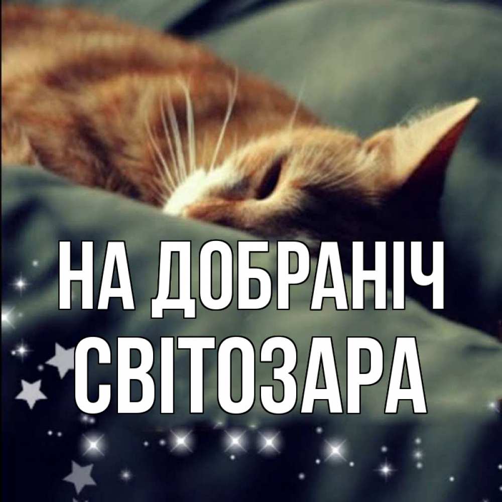 Открытка на каждый день з підписом, Світозара На добраніч кроватка Прикольна листівка з побажанням онлайн скачати безкоштовно 