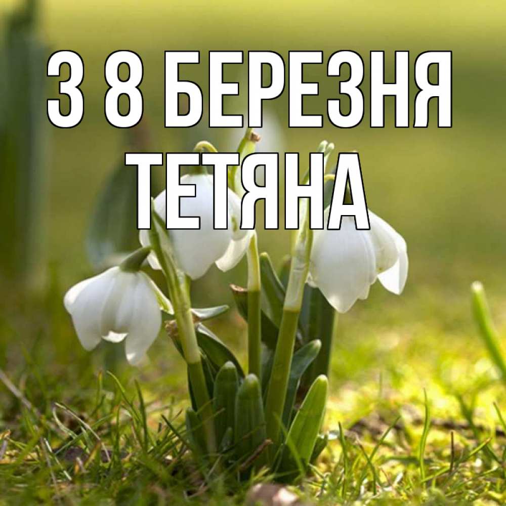 Открытка на каждый день з підписом, Тетяна З 8 БЕРЕЗНЯ ранние цветы 2 Прикольна листівка з побажанням онлайн скачати безкоштовно 