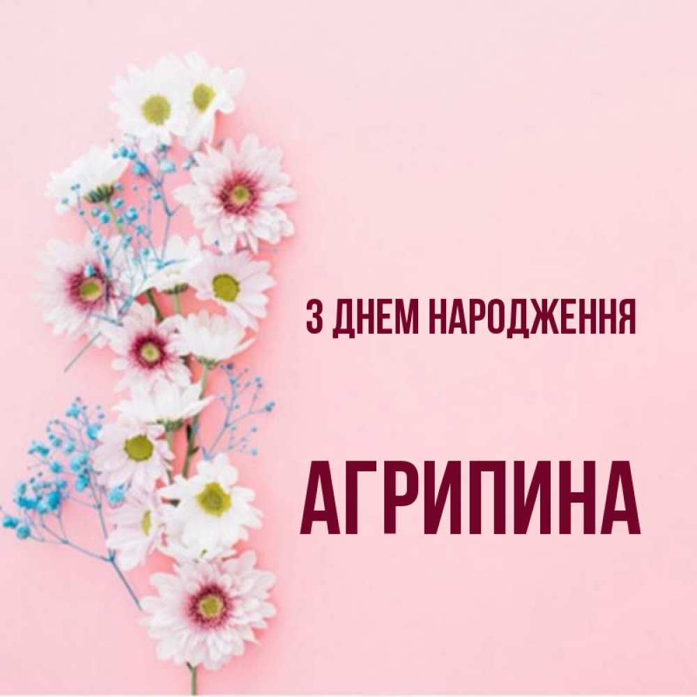Открытка на каждый день з підписом, Агрипина З Днем народження Родная моя с днем рождения тебя картинка с цветами белыми и голубыми Прикольна листівка з побажанням онлайн скачати безкоштовно 