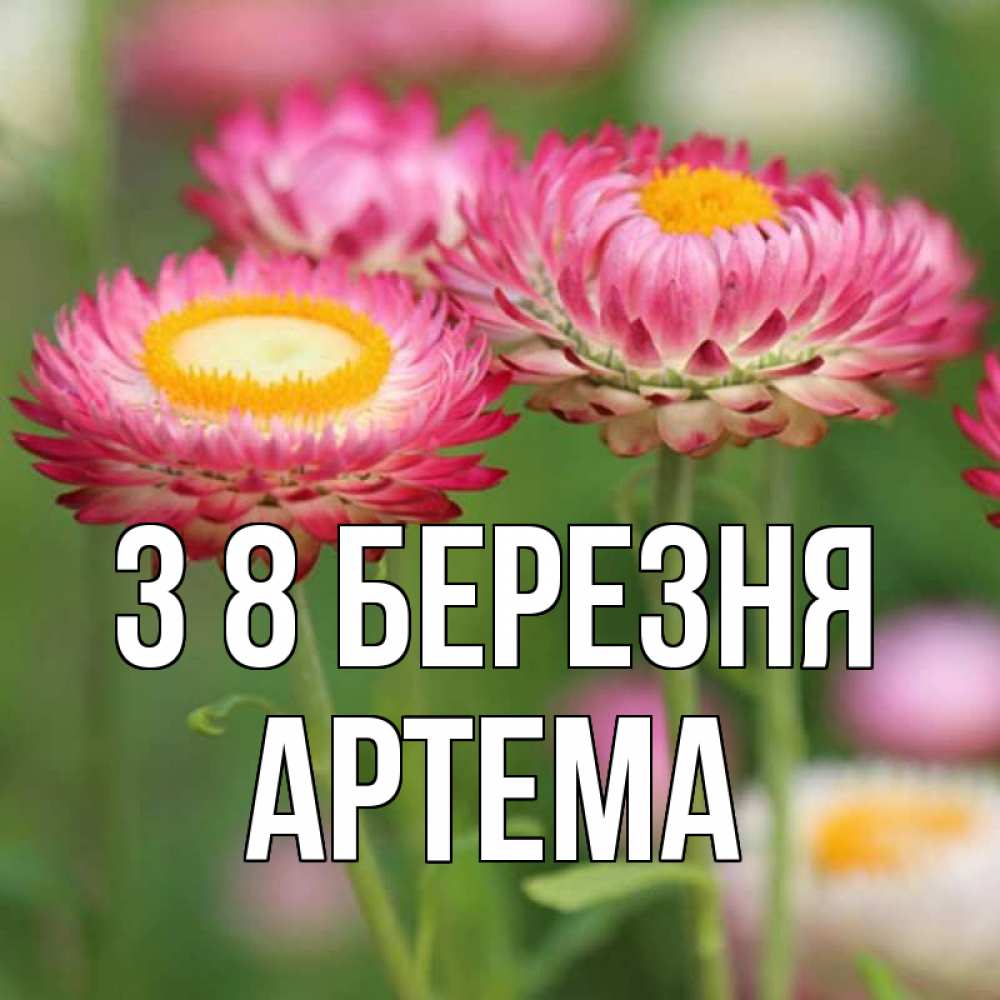 Открытка на каждый день з підписом, Артема З 8 БЕРЕЗНЯ подарок на международный женский день Прикольна листівка з побажанням онлайн скачати безкоштовно 