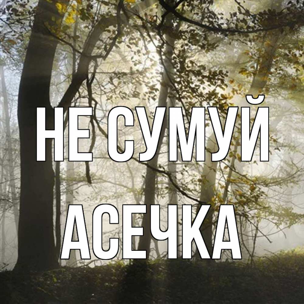 Открытка на каждый день з підписом, Асечка Не сумуй лес и свет Прикольна листівка з побажанням онлайн скачати безкоштовно 