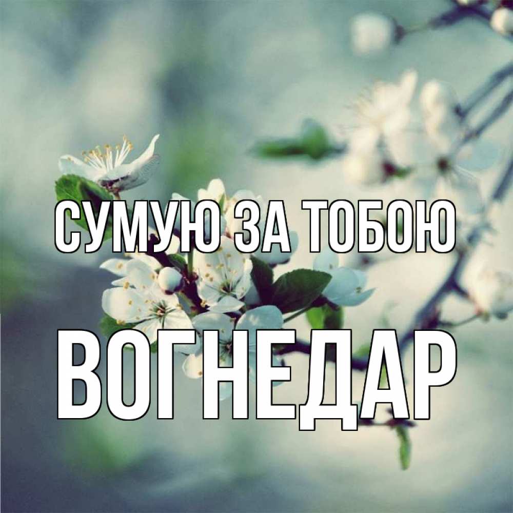 Открытка на каждый день з підписом, Вогнедар Сумую за тобою весна Прикольна листівка з побажанням онлайн скачати безкоштовно 