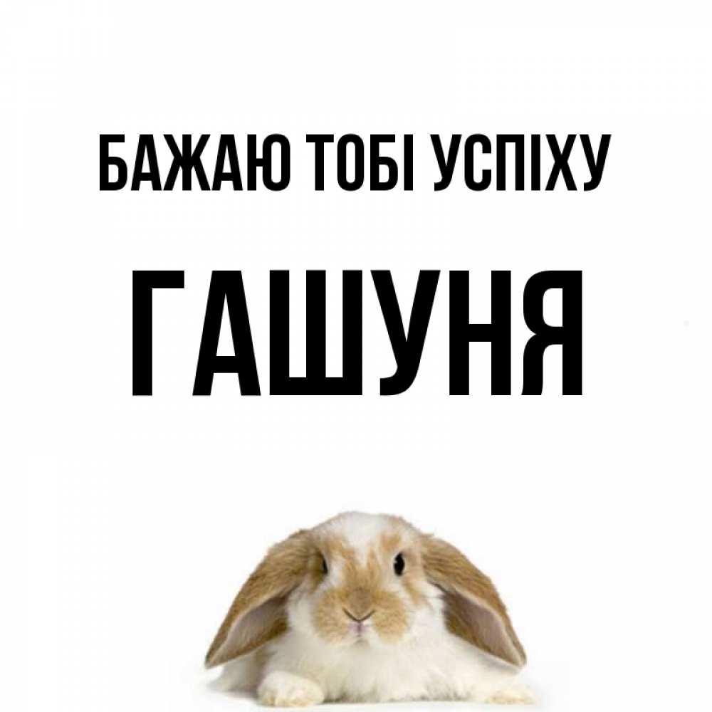 Открытка на каждый день з підписом, Гашуня Бажаю тобі успіху открытки с произвольным текстом который можно вставить в открытку и создать ее самостоятельно бесплатно онлайн Прикольна листівка з побажанням онлайн скачати безкоштовно 