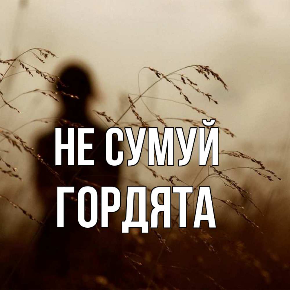 Открытка на каждый день з підписом, Гордята Не сумуй грусть Прикольна листівка з побажанням онлайн скачати безкоштовно 