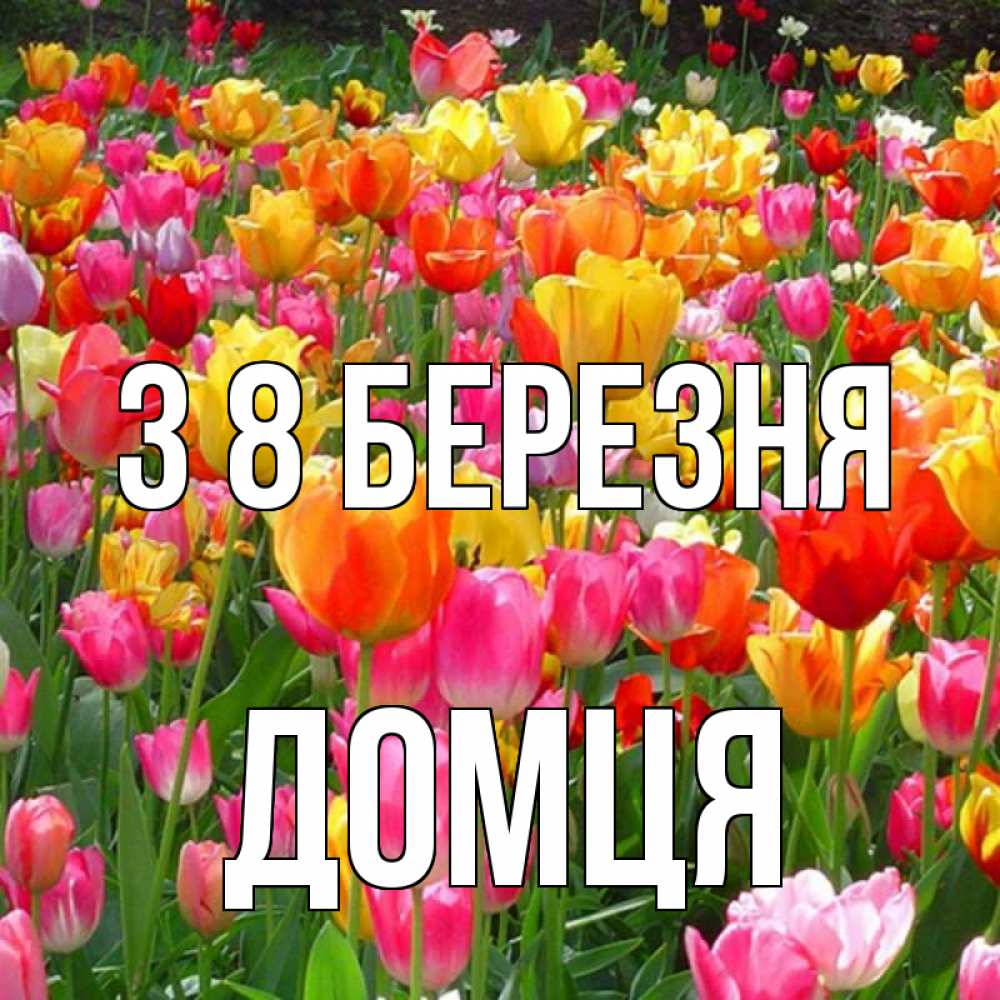 Открытка на каждый день з підписом, Домця З 8 БЕРЕЗНЯ на международный женский день Прикольна листівка з побажанням онлайн скачати безкоштовно 