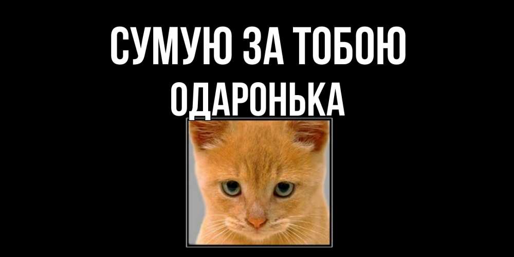 Открытка на каждый день з підписом, Одаронька Сумую за тобою открытки рыжий котенок скучает по тебе Прикольна листівка з побажанням онлайн скачати безкоштовно 