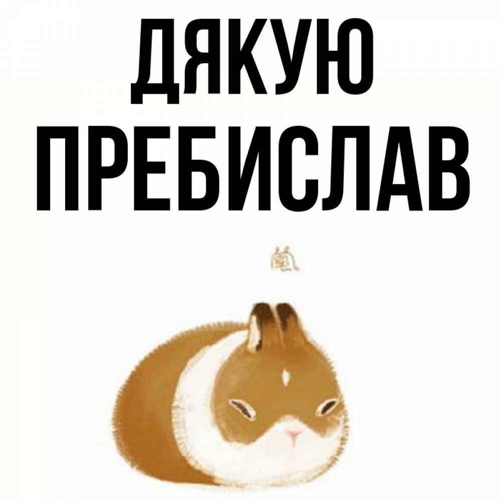 Открытка на каждый день з підписом, Пребислав Дякую коричнево белый домашний питомец Прикольна листівка з побажанням онлайн скачати безкоштовно 