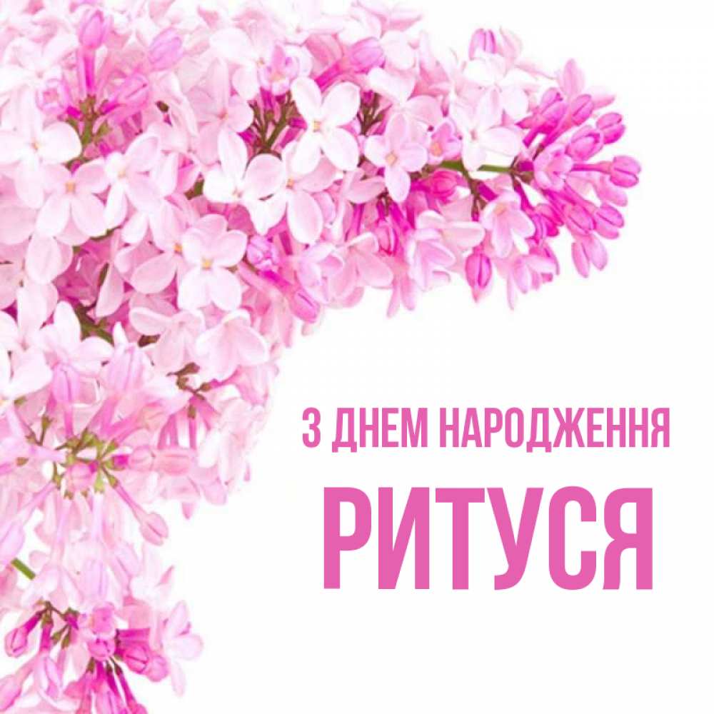 Открытка на каждый день з підписом, Ритуся З Днем народження Сирень на белом фоне Прикольна листівка з побажанням онлайн скачати безкоштовно 