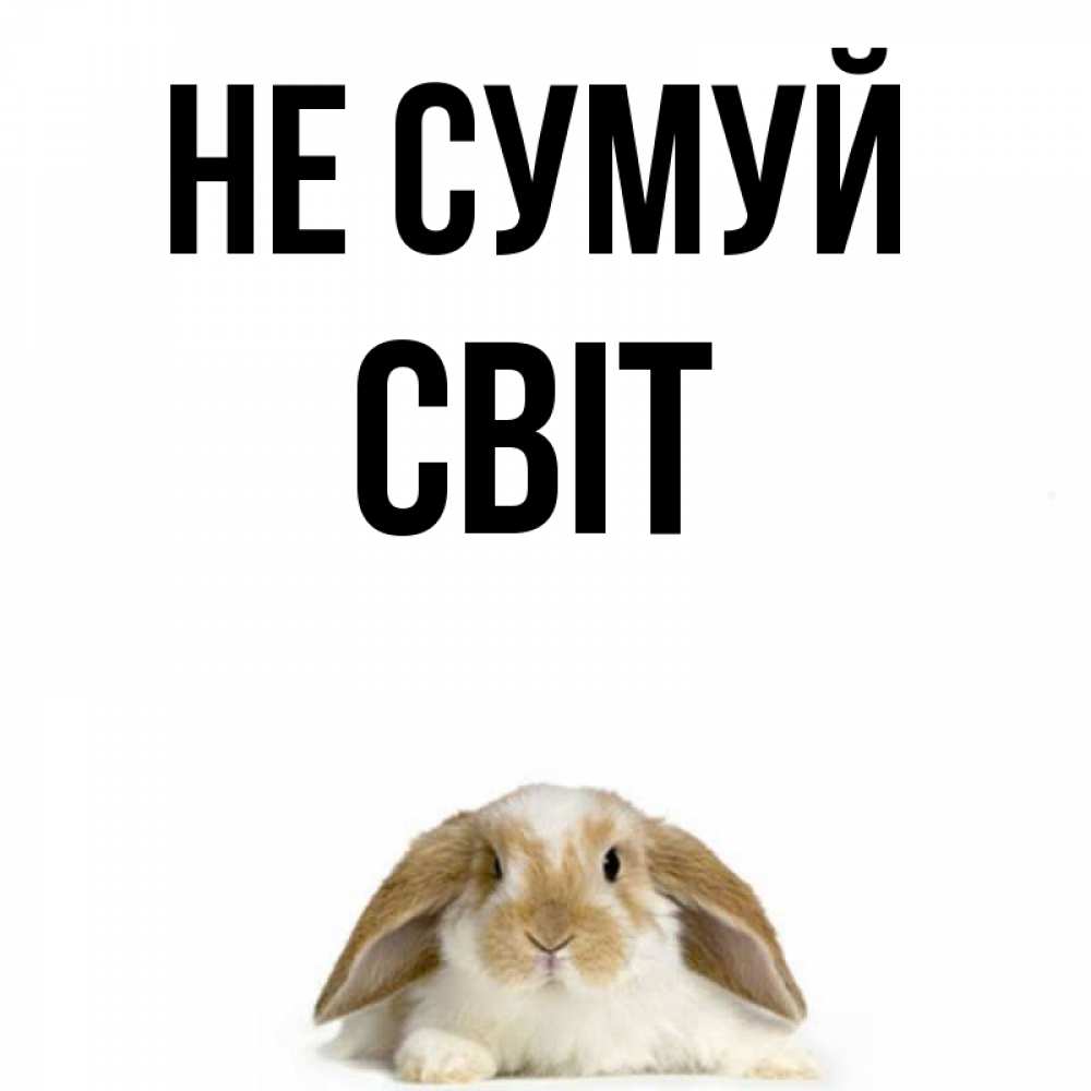 Открытка на каждый день з підписом, Світ Не сумуй коричнево белый заяц с большими ушками Прикольна листівка з побажанням онлайн скачати безкоштовно 