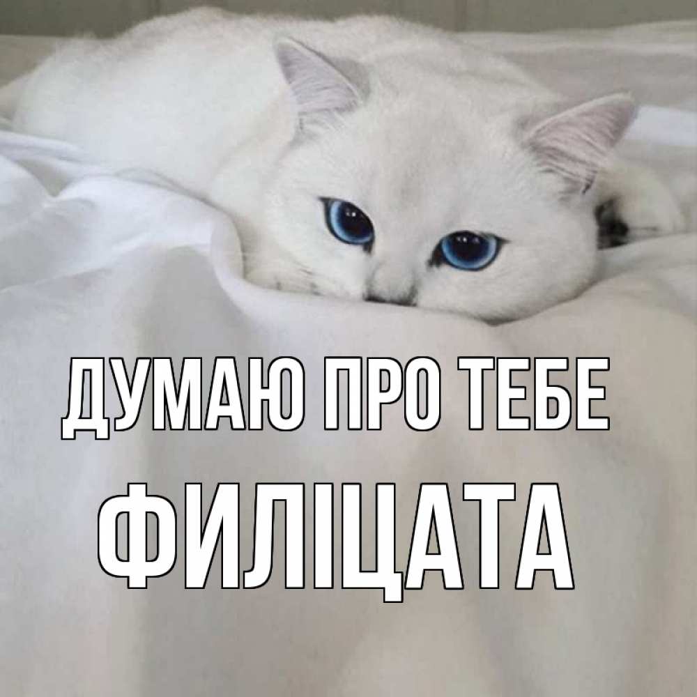 Открытка на каждый день з підписом, Филіцата Думаю про тебе я очень по тебе скучаю и тоскую Прикольна листівка з побажанням онлайн скачати безкоштовно 