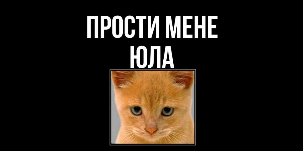 Открытка на каждый день з підписом, Юла Прости мене рыжий грустный кот просит прощения Прикольна листівка з побажанням онлайн скачати безкоштовно 
