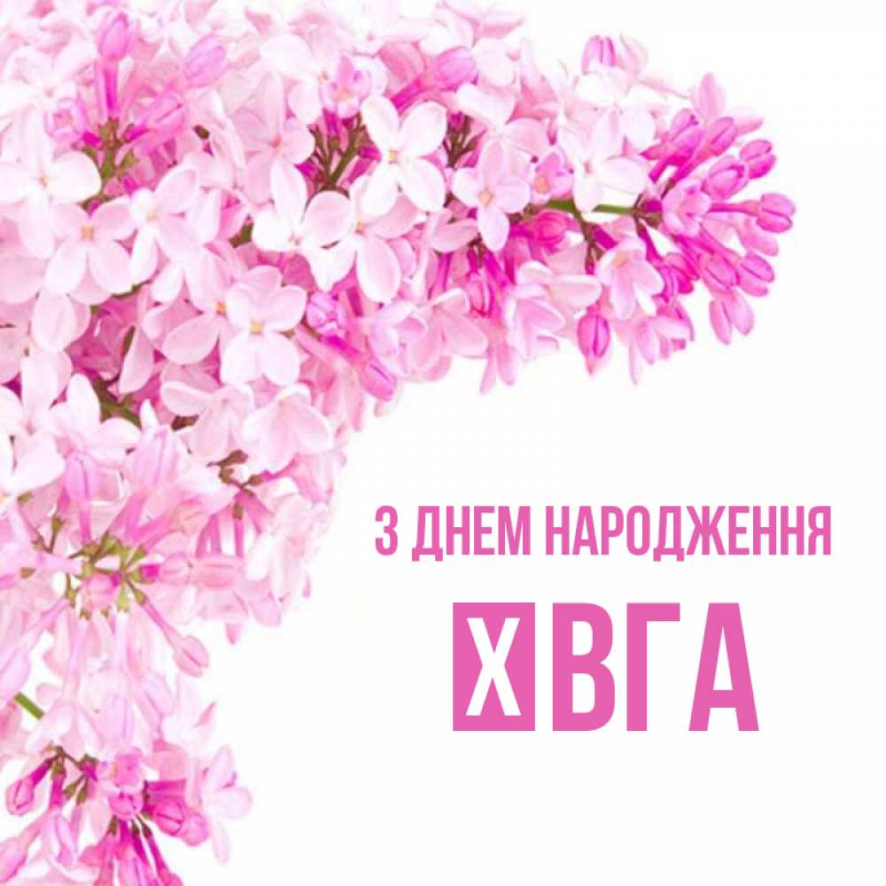 Открытка на каждый день з підписом, Ївга З Днем народження Сирень на белом фоне Прикольна листівка з побажанням онлайн скачати безкоштовно 