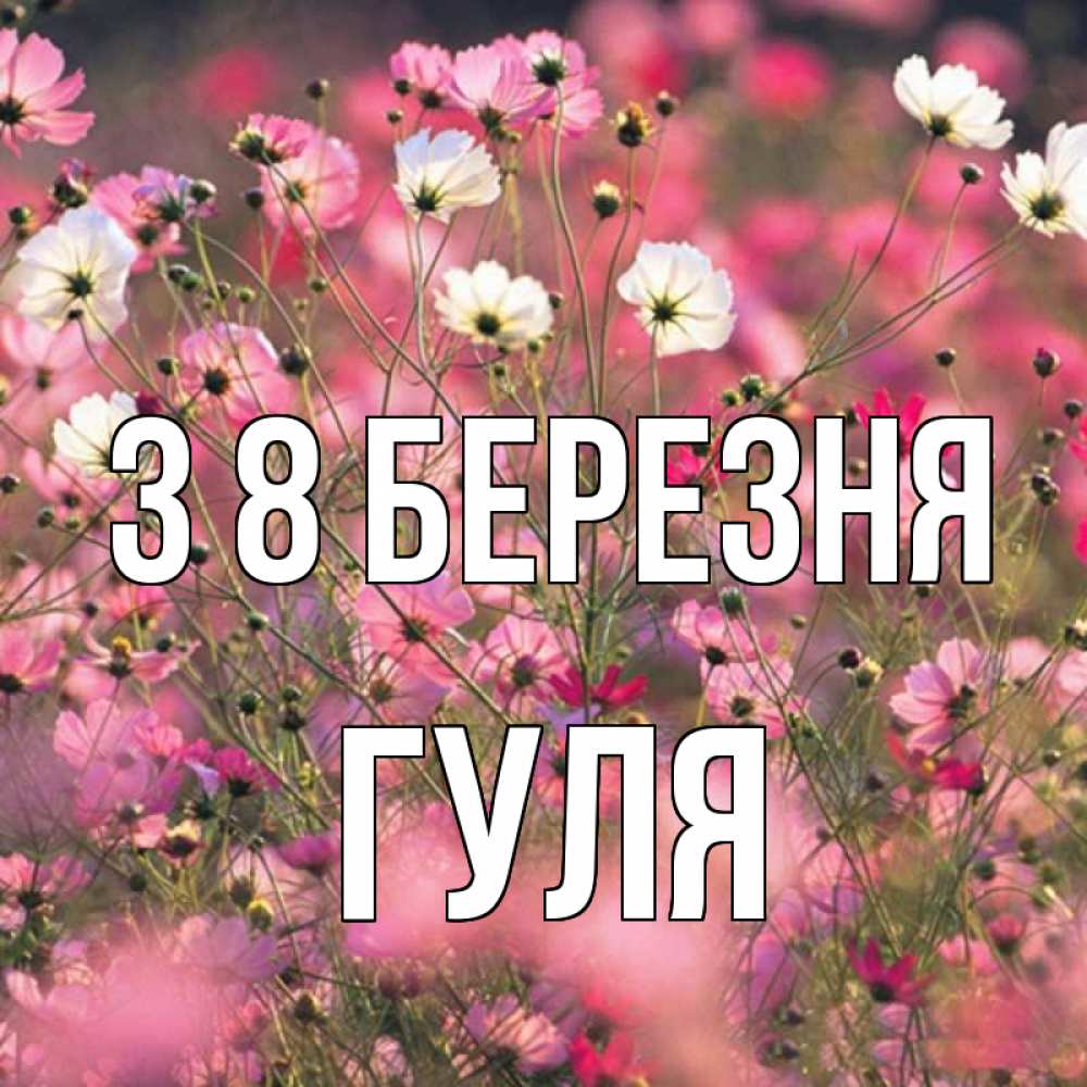 Открытка на каждый день з підписом, Гуля З 8 БЕРЕЗНЯ красиво 1 Прикольна листівка з побажанням онлайн скачати безкоштовно 