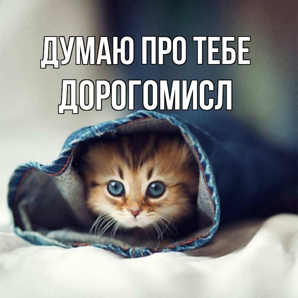Открытка на каждый день з підписом, Дорогомисл Думаю про тебе мне без тебя плохо Прикольна листівка з побажанням онлайн скачати безкоштовно 
