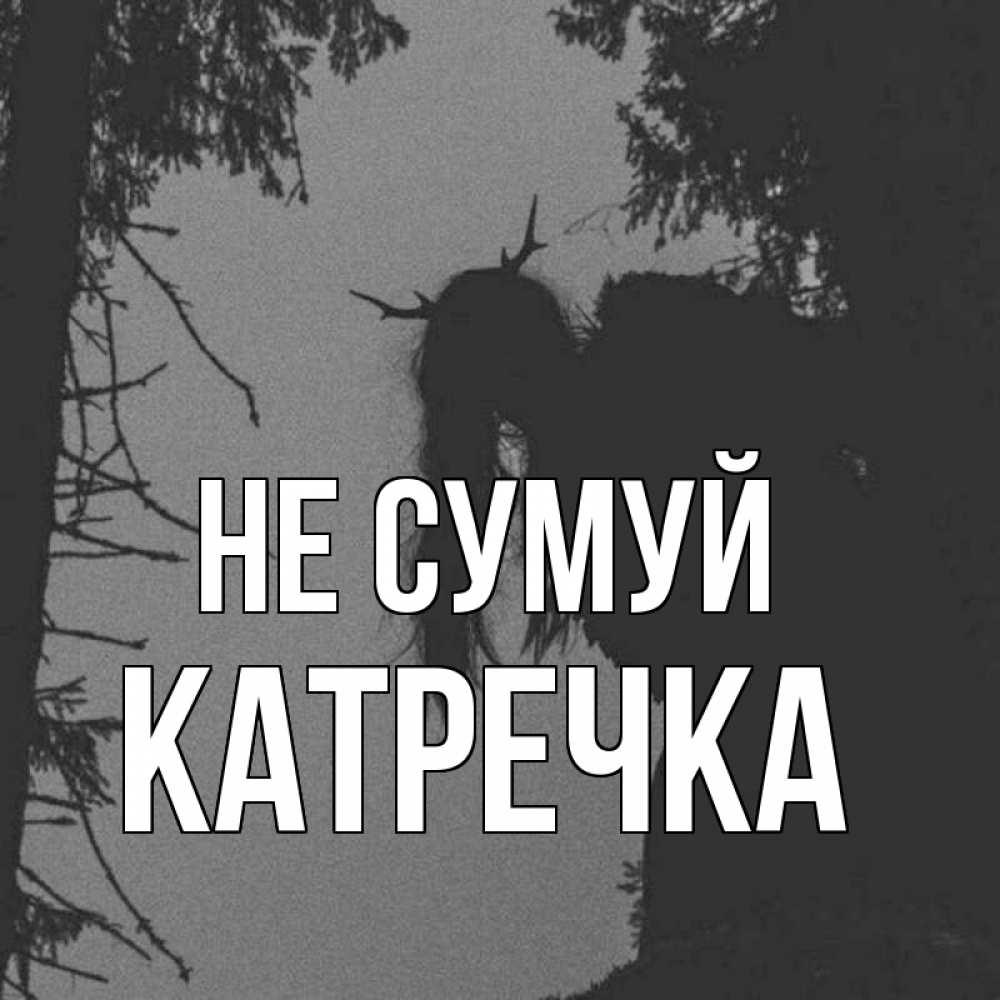 Открытка на каждый день з підписом, Катречка Не сумуй чудище лесное Прикольна листівка з побажанням онлайн скачати безкоштовно 