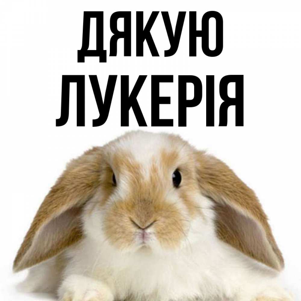 Открытка на каждый день з підписом, Лукерія Дякую коричнево белый заяц Прикольна листівка з побажанням онлайн скачати безкоштовно 