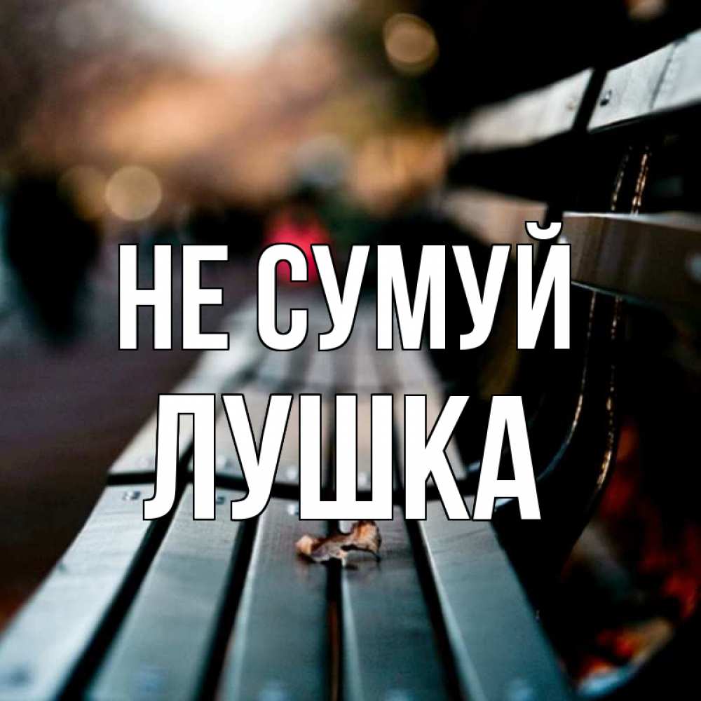 Открытка на каждый день з підписом, Лушка Не сумуй размытый фон Прикольна листівка з побажанням онлайн скачати безкоштовно 