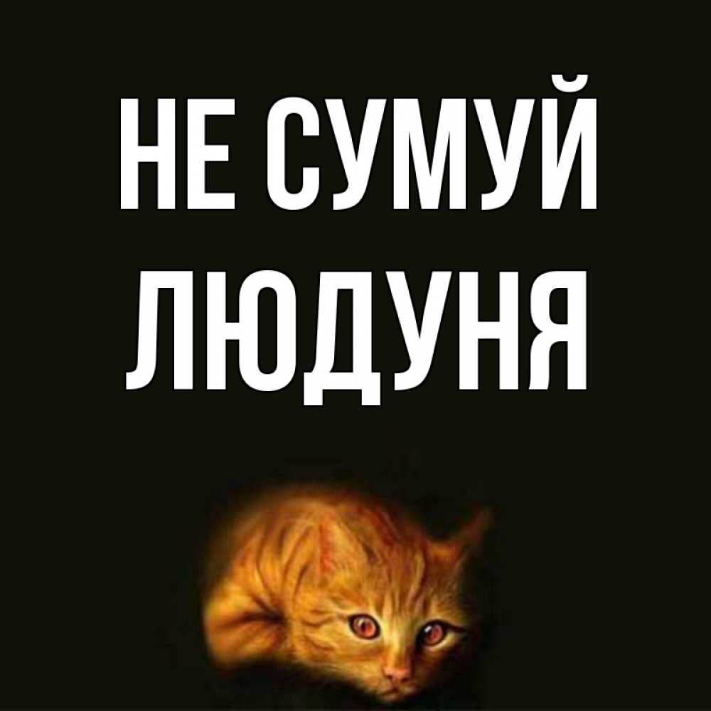Открытка на каждый день з підписом, Людуня Не сумуй лежащий кот в темноте Прикольна листівка з побажанням онлайн скачати безкоштовно 