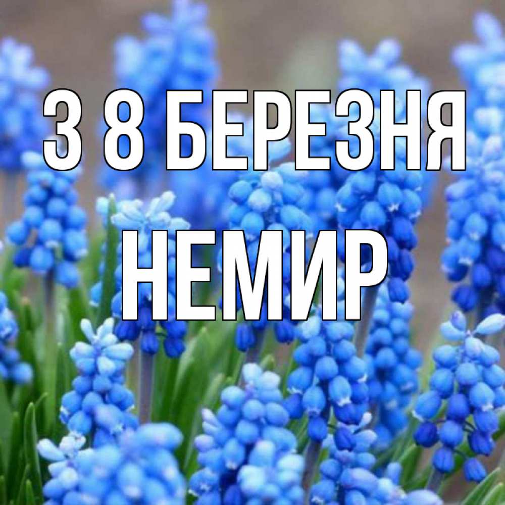 Открытка на каждый день з підписом, Немир З 8 БЕРЕЗНЯ Поздравительная открытка для женщин с цветами на праздничную дату Прикольна листівка з побажанням онлайн скачати безкоштовно 
