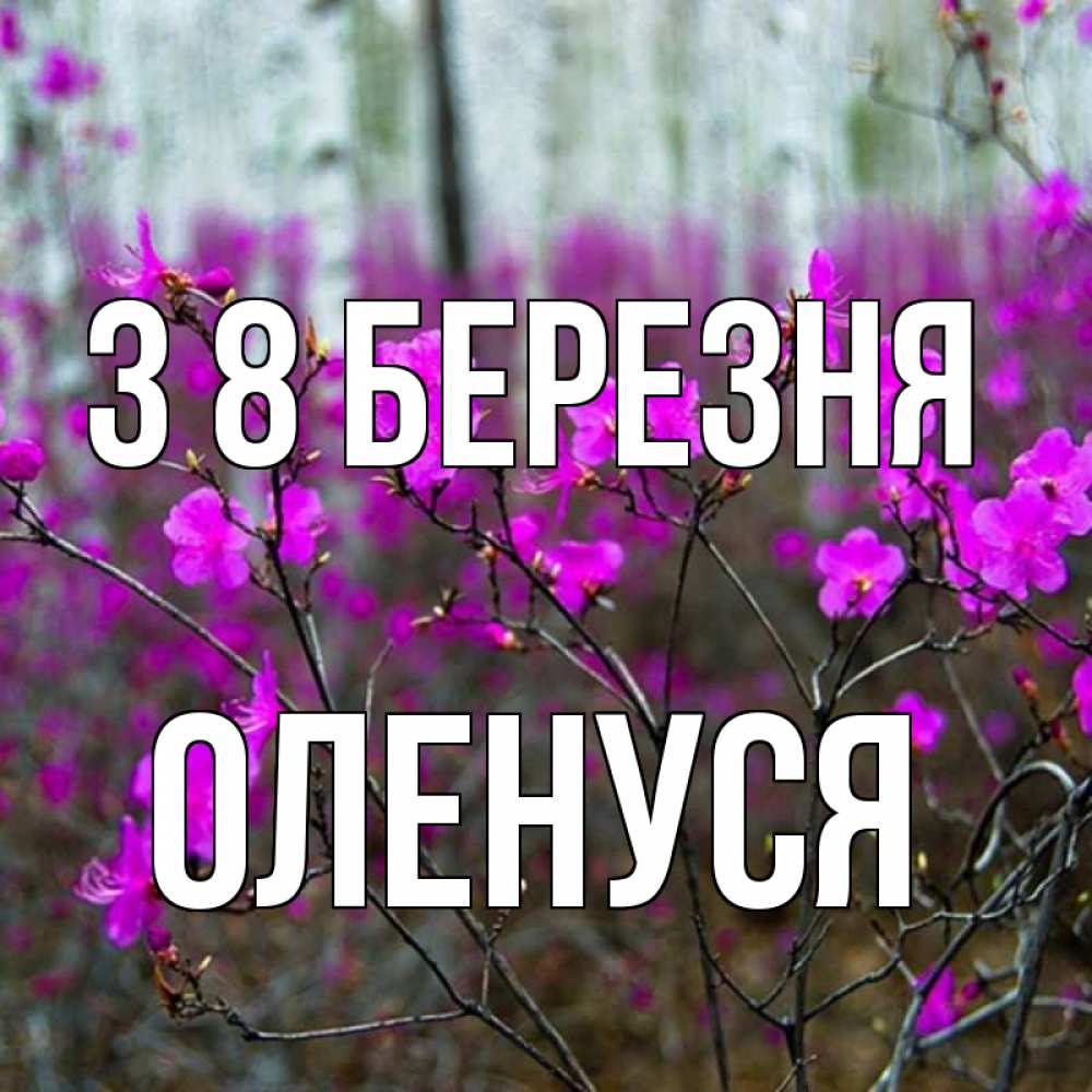 Открытка на каждый день з підписом, Оленуся З 8 БЕРЕЗНЯ дикие цветы Прикольна листівка з побажанням онлайн скачати безкоштовно 