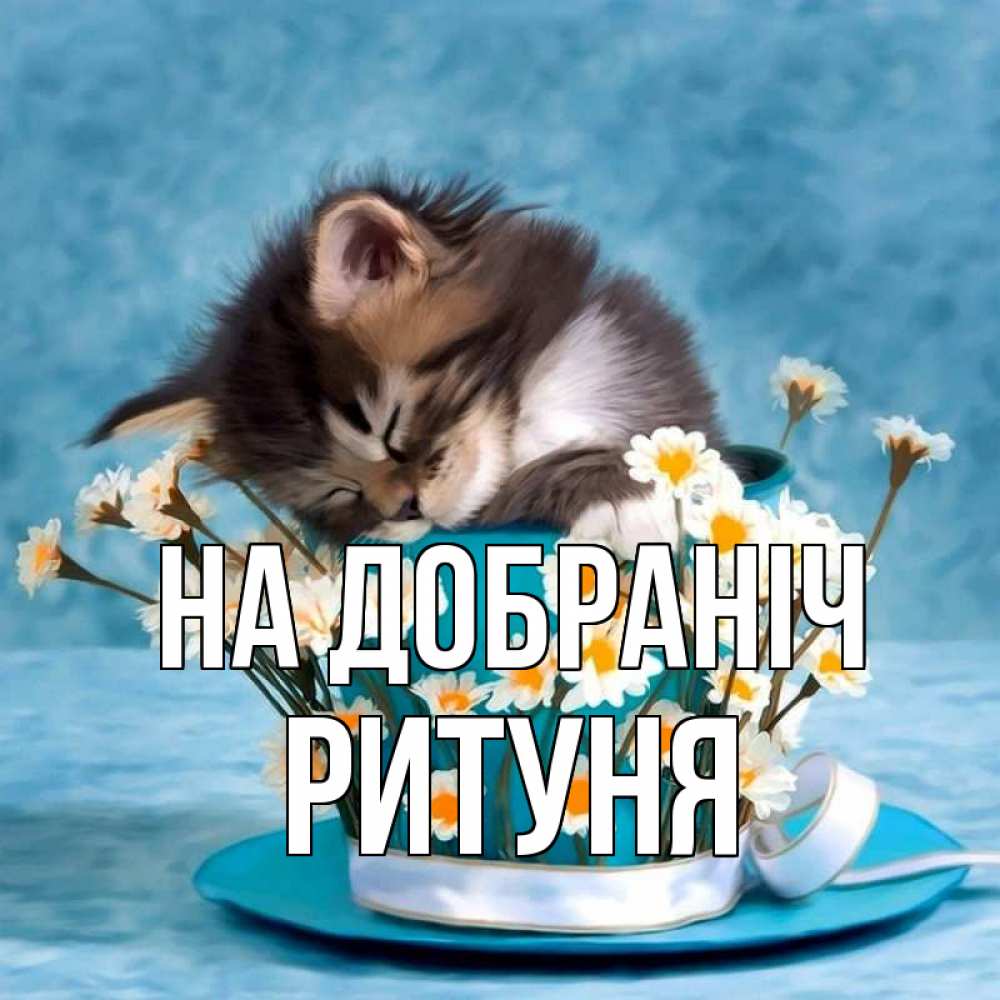 Открытка на каждый день з підписом, Ритуня На добраніч котенок спит в кружке с блюдцем Прикольна листівка з побажанням онлайн скачати безкоштовно 