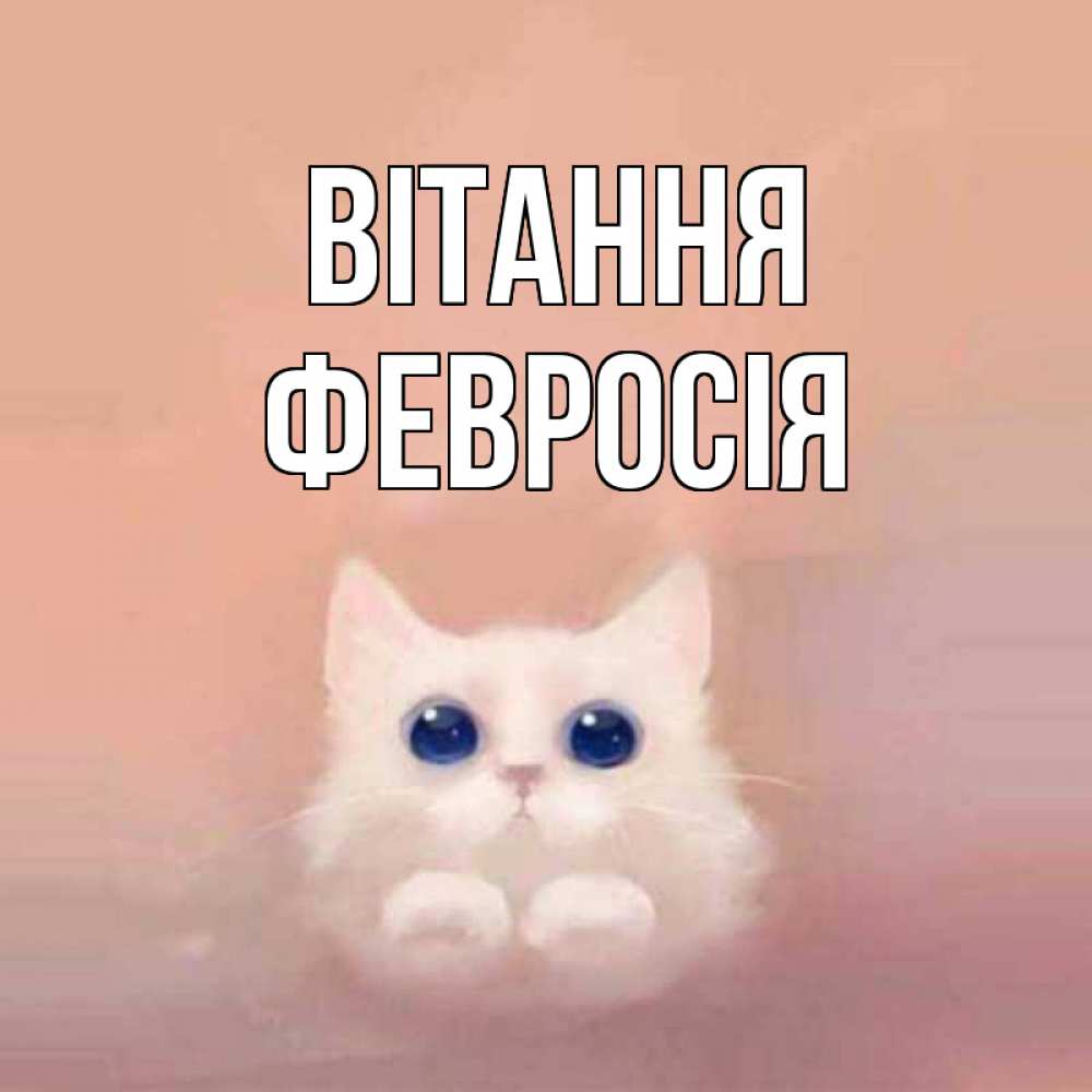 Открытка на каждый день з підписом, Февросія Вітання котик белый в полете Прикольна листівка з побажанням онлайн скачати безкоштовно 