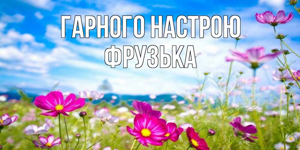 Открытка на каждый день з підписом, Фрузька Гарного настрою поле цветов Прикольна листівка з побажанням онлайн скачати безкоштовно 