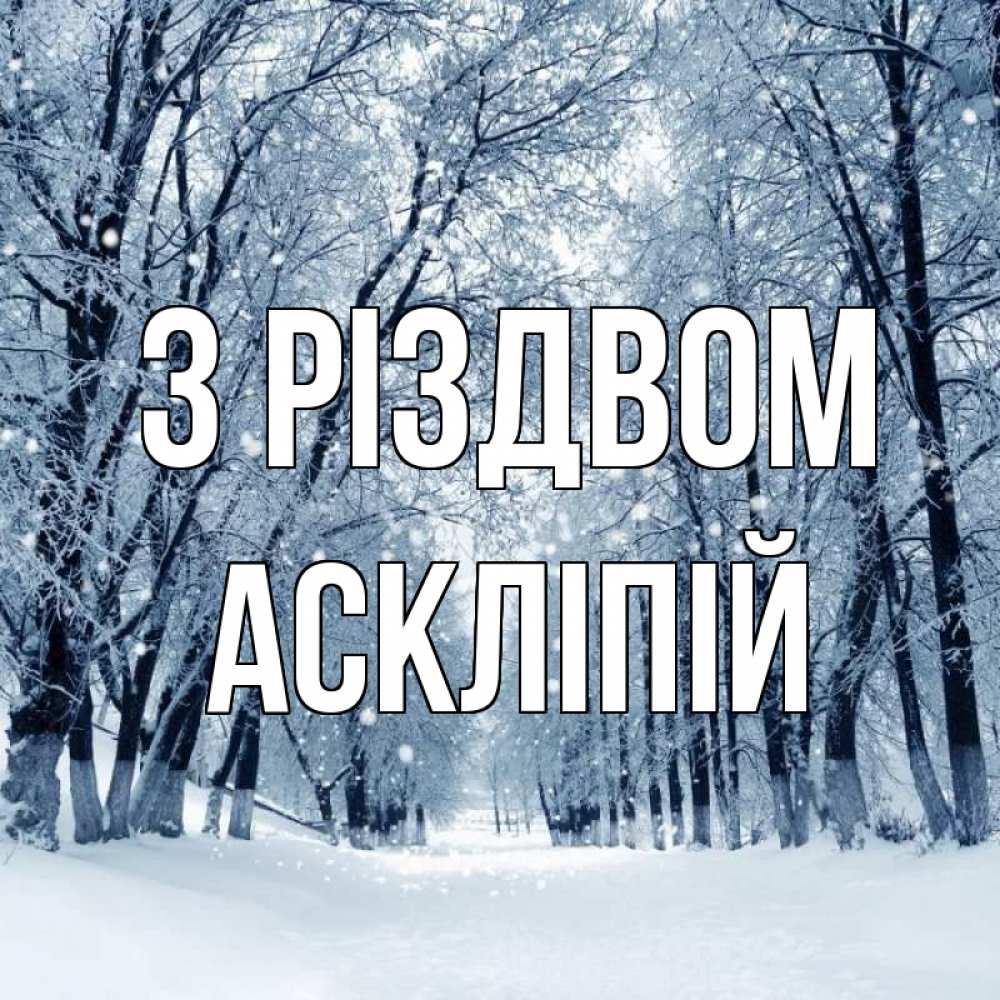 Открытка на каждый день з підписом, Аскліпій З Різдвом снег, лес, парк Прикольна листівка з побажанням онлайн скачати безкоштовно 
