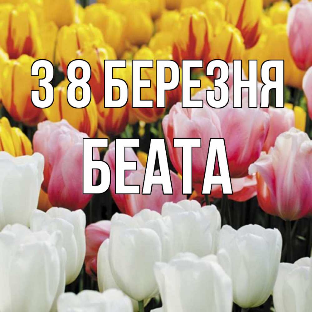 Открытка на каждый день з підписом, Беата З 8 БЕРЕЗНЯ разноцветные цветы Прикольна листівка з побажанням онлайн скачати безкоштовно 