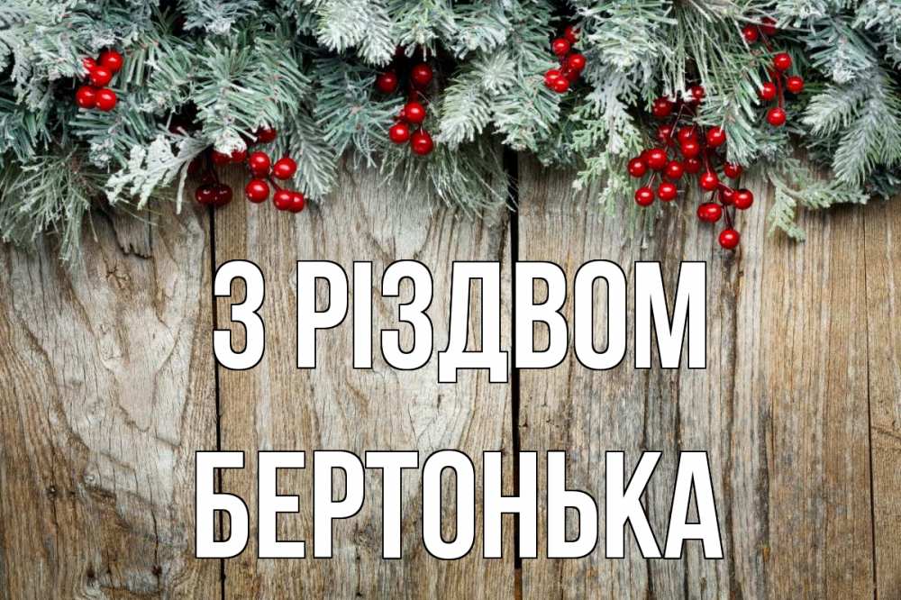 Открытка на каждый день з підписом, Бертонька З Різдвом с рождеством Прикольна листівка з побажанням онлайн скачати безкоштовно 