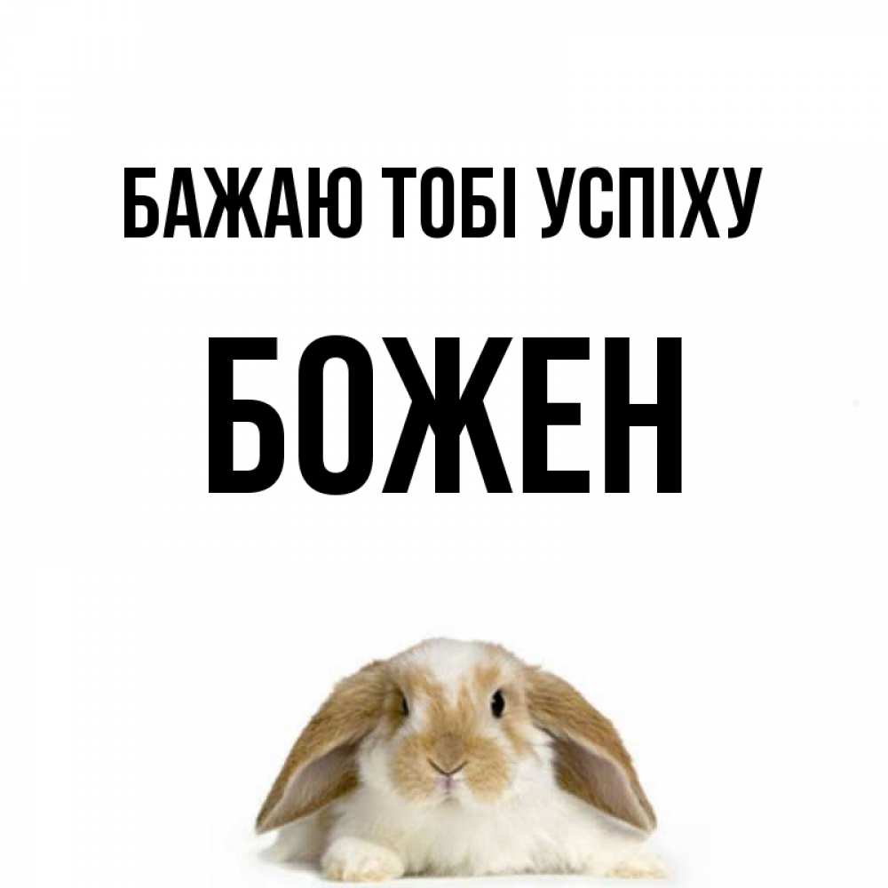 Открытка на каждый день з підписом, Божен Бажаю тобі успіху открытки с произвольным текстом который можно вставить в открытку и создать ее самостоятельно бесплатно онлайн Прикольна листівка з побажанням онлайн скачати безкоштовно 