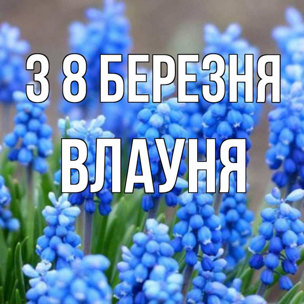 Открытка на каждый день з підписом, Влауня З 8 БЕРЕЗНЯ Поздравительная открытка для женщин с цветами на праздничную дату Прикольна листівка з побажанням онлайн скачати безкоштовно 