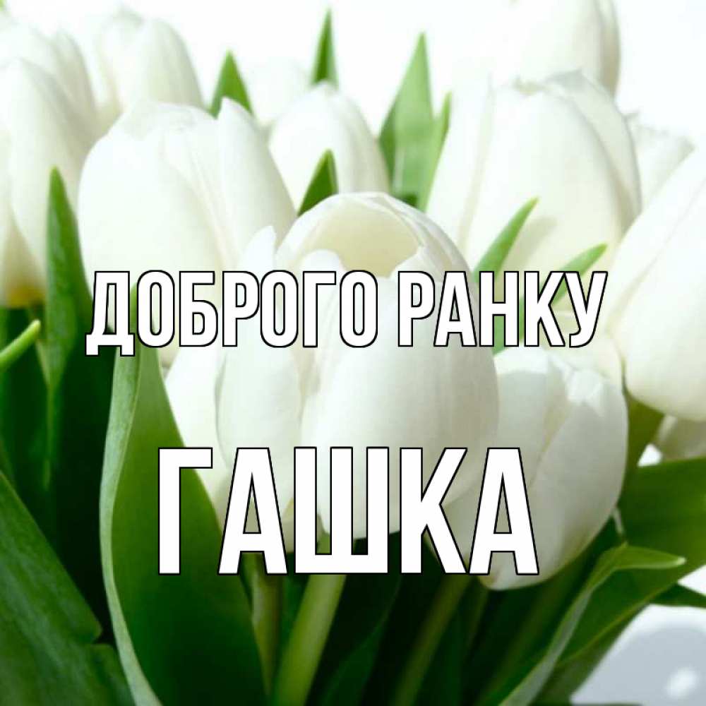 Открытка на каждый день з підписом, Гашка Доброго ранку открытки на каждый день по именам Прикольна листівка з побажанням онлайн скачати безкоштовно 