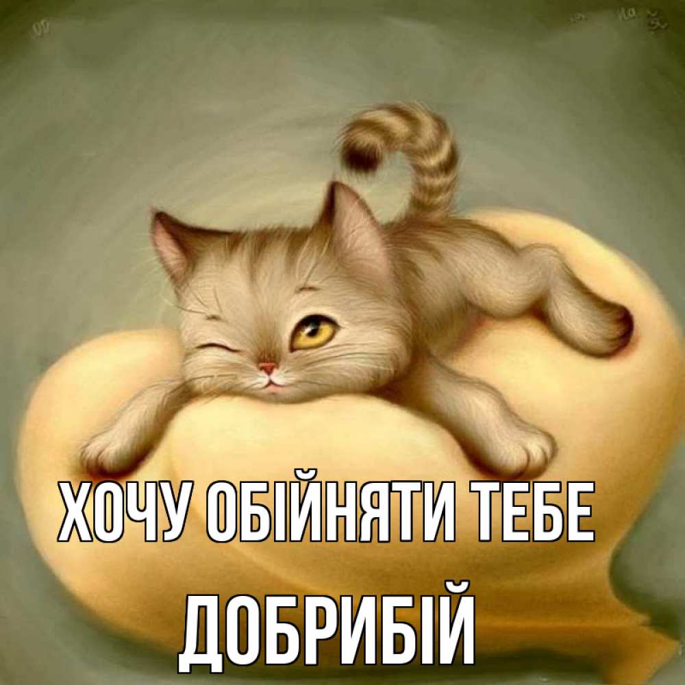 Открытка на каждый день з підписом, Добрибій Хочу обійняти тебе кошечка Прикольна листівка з побажанням онлайн скачати безкоштовно 