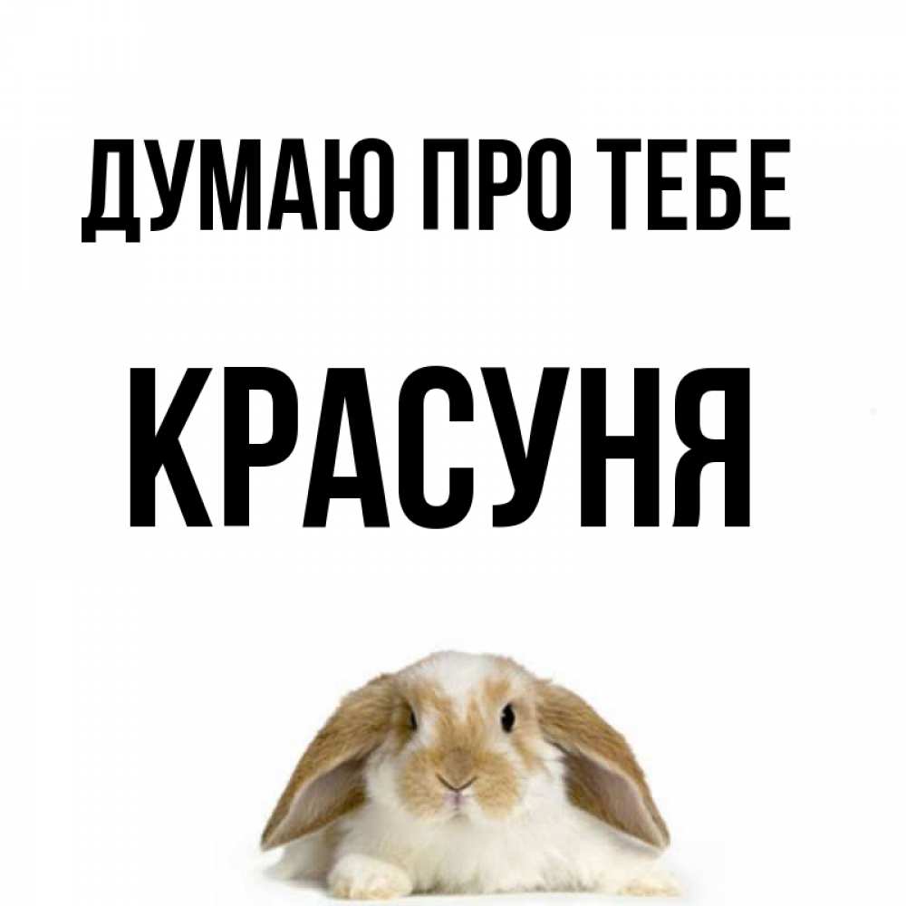 Открытка на каждый день з підписом, Красуня Думаю про тебе подписать своими руками онлайн Прикольна листівка з побажанням онлайн скачати безкоштовно 