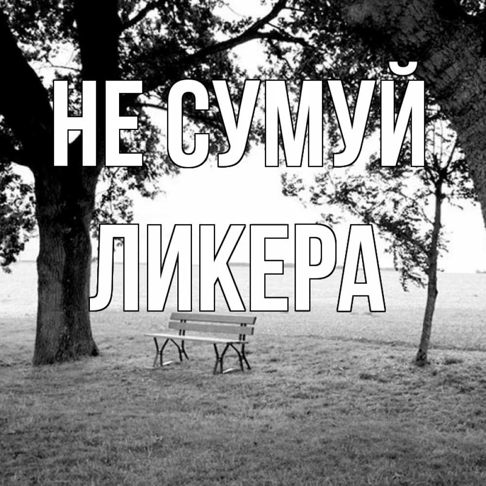 Открытка на каждый день з підписом, Ликера Не сумуй мощное дерево Прикольна листівка з побажанням онлайн скачати безкоштовно 