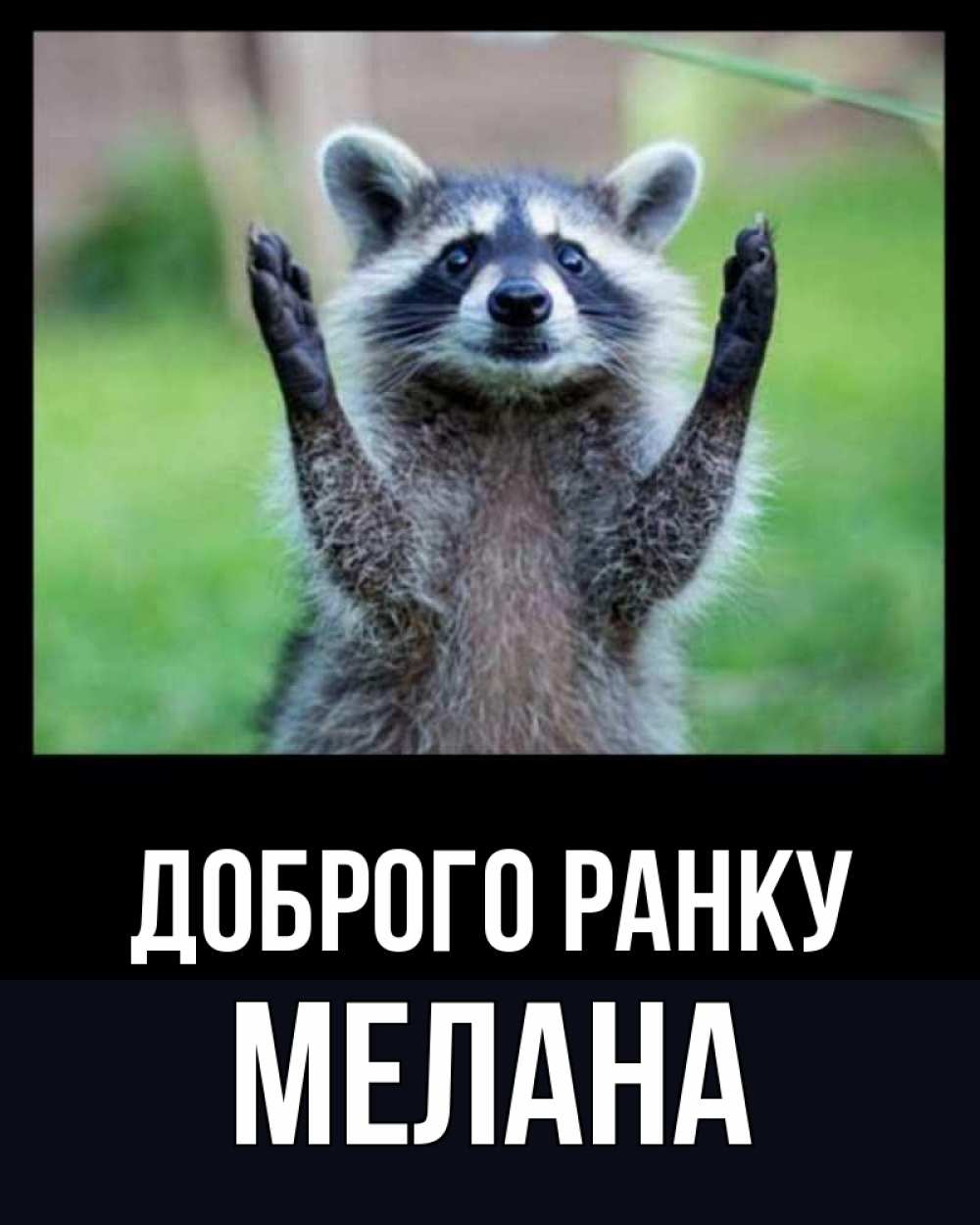 Открытка на каждый день з підписом, Мелана Доброго ранку хорошее настроение утречком Прикольна листівка з побажанням онлайн скачати безкоштовно 