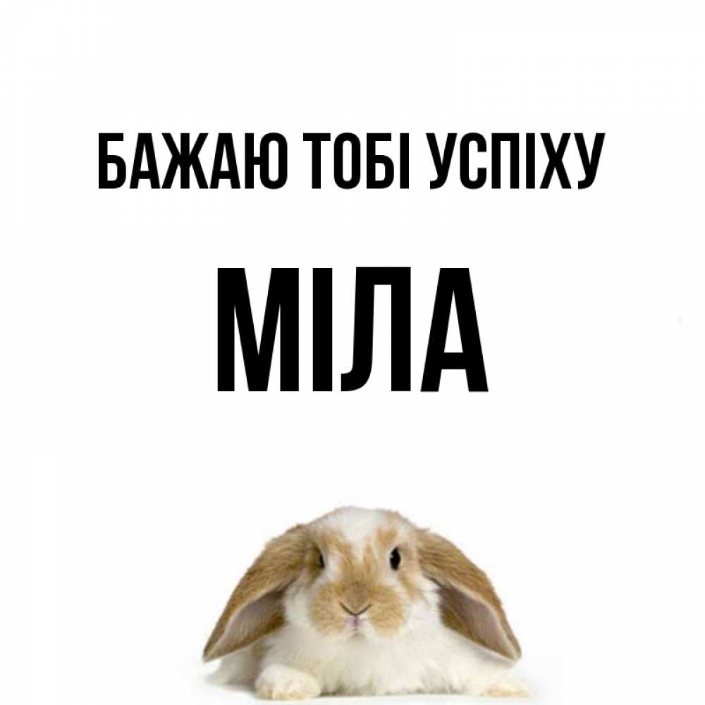 Открытка на каждый день з підписом, Міла Бажаю тобі успіху открытки с произвольным текстом который можно вставить в открытку и создать ее самостоятельно бесплатно онлайн Прикольна листівка з побажанням онлайн скачати безкоштовно 