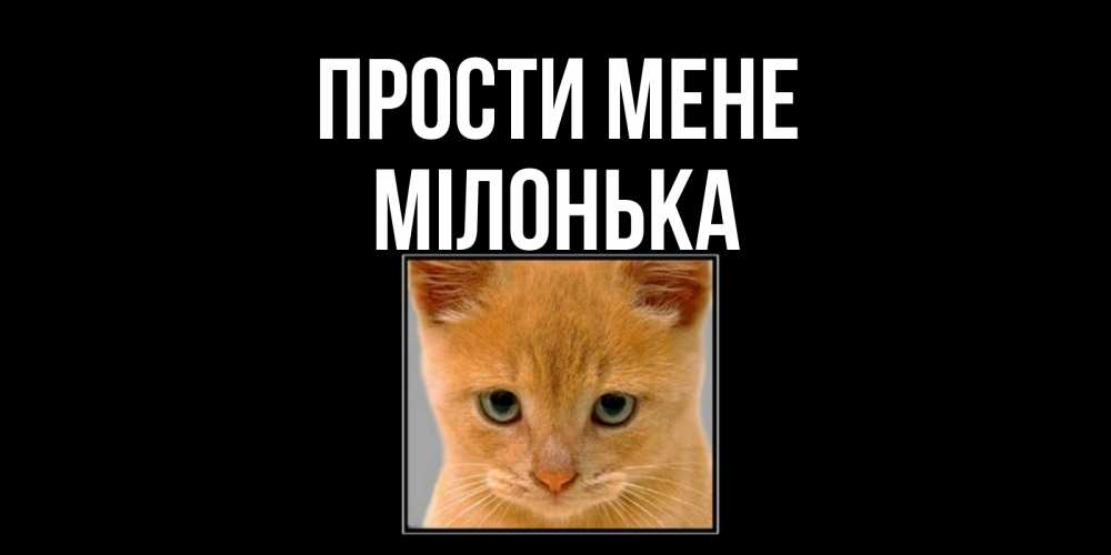 Открытка на каждый день з підписом, Мілонька Прости мене рыжий грустный кот просит прощения Прикольна листівка з побажанням онлайн скачати безкоштовно 
