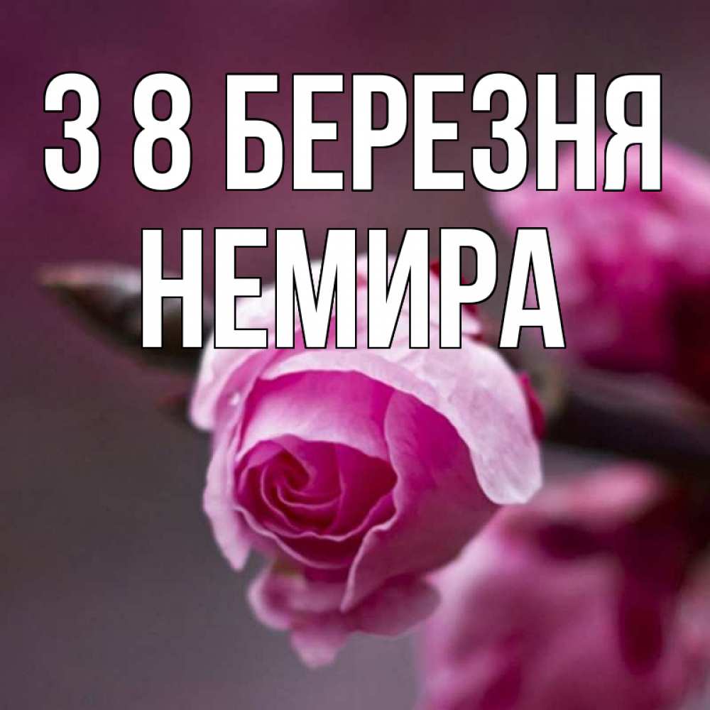 Открытка на каждый день з підписом, Немира З 8 БЕРЕЗНЯ весна Прикольна листівка з побажанням онлайн скачати безкоштовно 