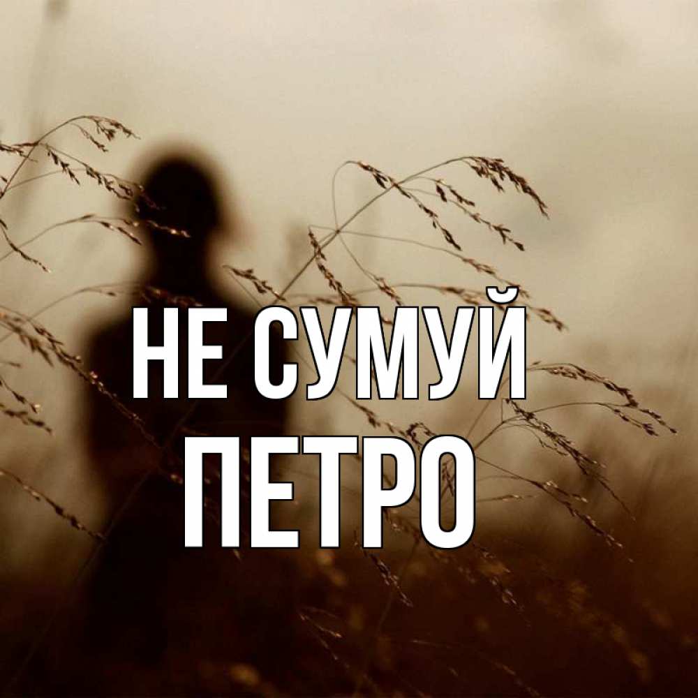 Открытка на каждый день з підписом, Петро Не сумуй грусть Прикольна листівка з побажанням онлайн скачати безкоштовно 
