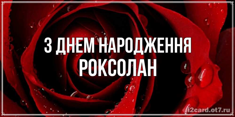 Открытка на каждый день з підписом, Роксолан З Днем народження крупная бордовая роза Прикольна листівка з побажанням онлайн скачати безкоштовно 