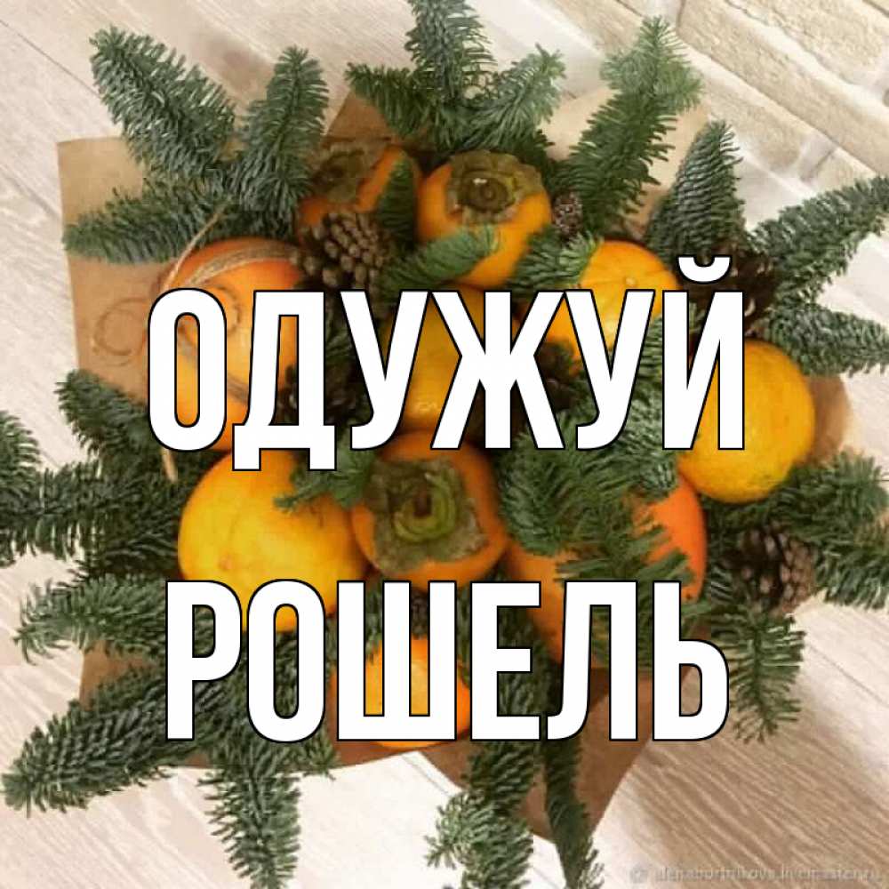 Открытка на каждый день з підписом, Рошель Одужуй апельсины и хурьма Прикольна листівка з побажанням онлайн скачати безкоштовно 