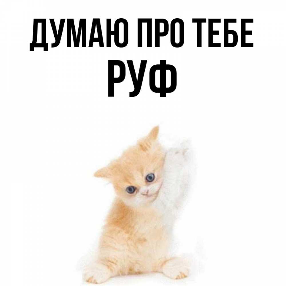 Открытка на каждый день з підписом, Руф Думаю про тебе зверушки и милота Прикольна листівка з побажанням онлайн скачати безкоштовно 