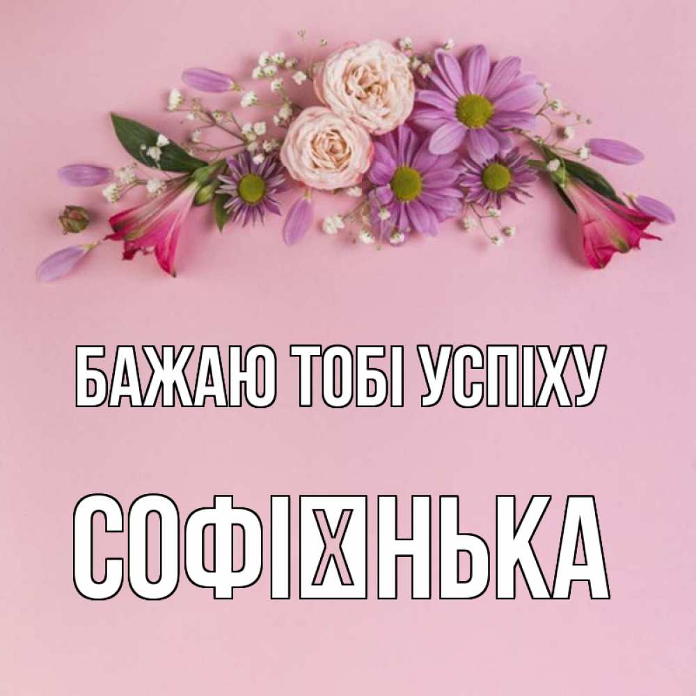 Открытка на каждый день з підписом, Софієнька Бажаю тобі успіху розовый фон Прикольна листівка з побажанням онлайн скачати безкоштовно 