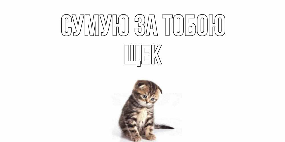 Открытка на каждый день з підписом, Щек Сумую за тобою кот Прикольна листівка з побажанням онлайн скачати безкоштовно 