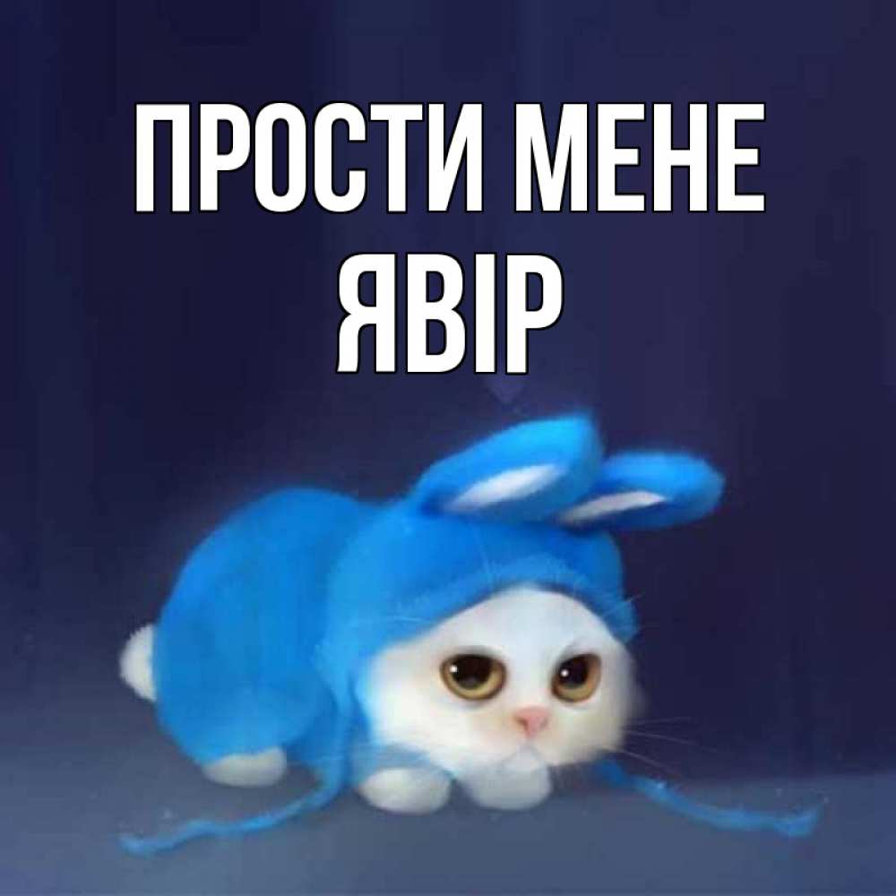 Открытка на каждый день з підписом, Явір Прости мене невинный котозай просит прощения Прикольна листівка з побажанням онлайн скачати безкоштовно 