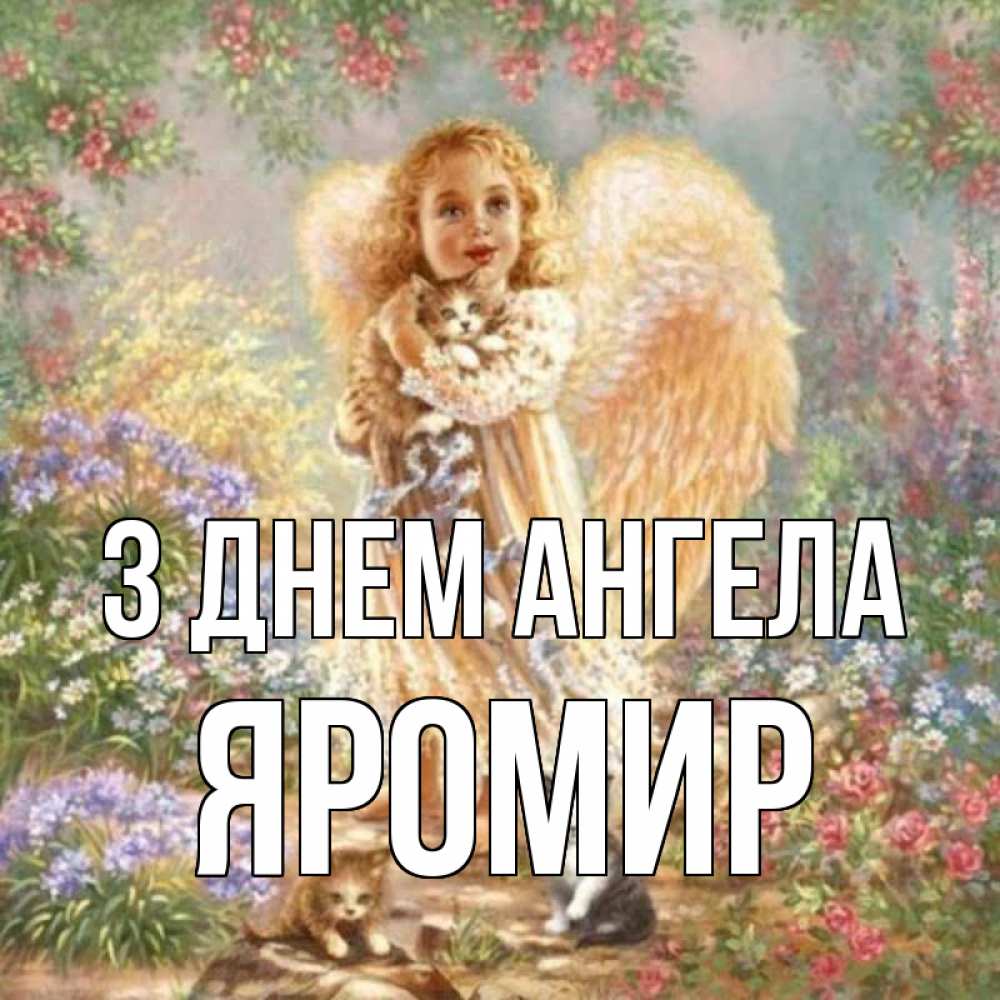 Открытка на каждый день з підписом, Яромир З Днем ангела держит котенка Прикольна листівка з побажанням онлайн скачати безкоштовно 