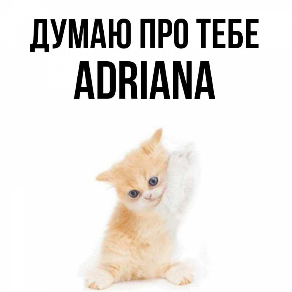 Открытка на каждый день з підписом, Adriana Думаю про тебе зверушки и милота Прикольна листівка з побажанням онлайн скачати безкоштовно 