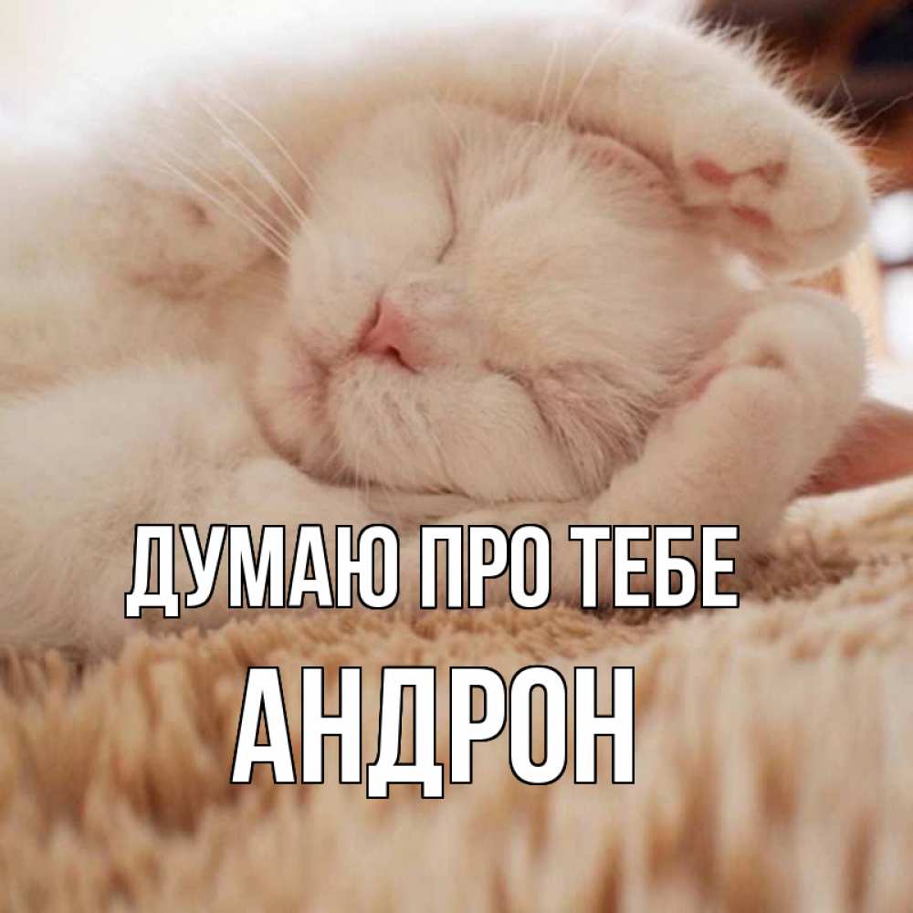 Открытка на каждый день з підписом, Андрон Думаю про тебе для любимой девушки милота Прикольна листівка з побажанням онлайн скачати безкоштовно 